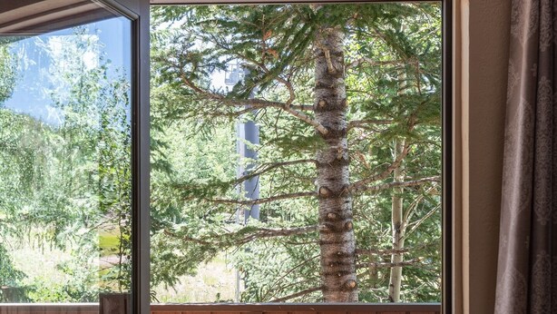 A wooden deck with a view of a tree and a building in the background. - Evergreen B5 (Brian Head)