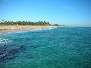 A beach with clear turquoise water, sandy shore, and a line of palm trees in the background.