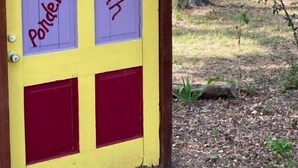 Eine gelbe Tür mit violetten Feldern und dem Schriftzug "Peruse Path" darauf.