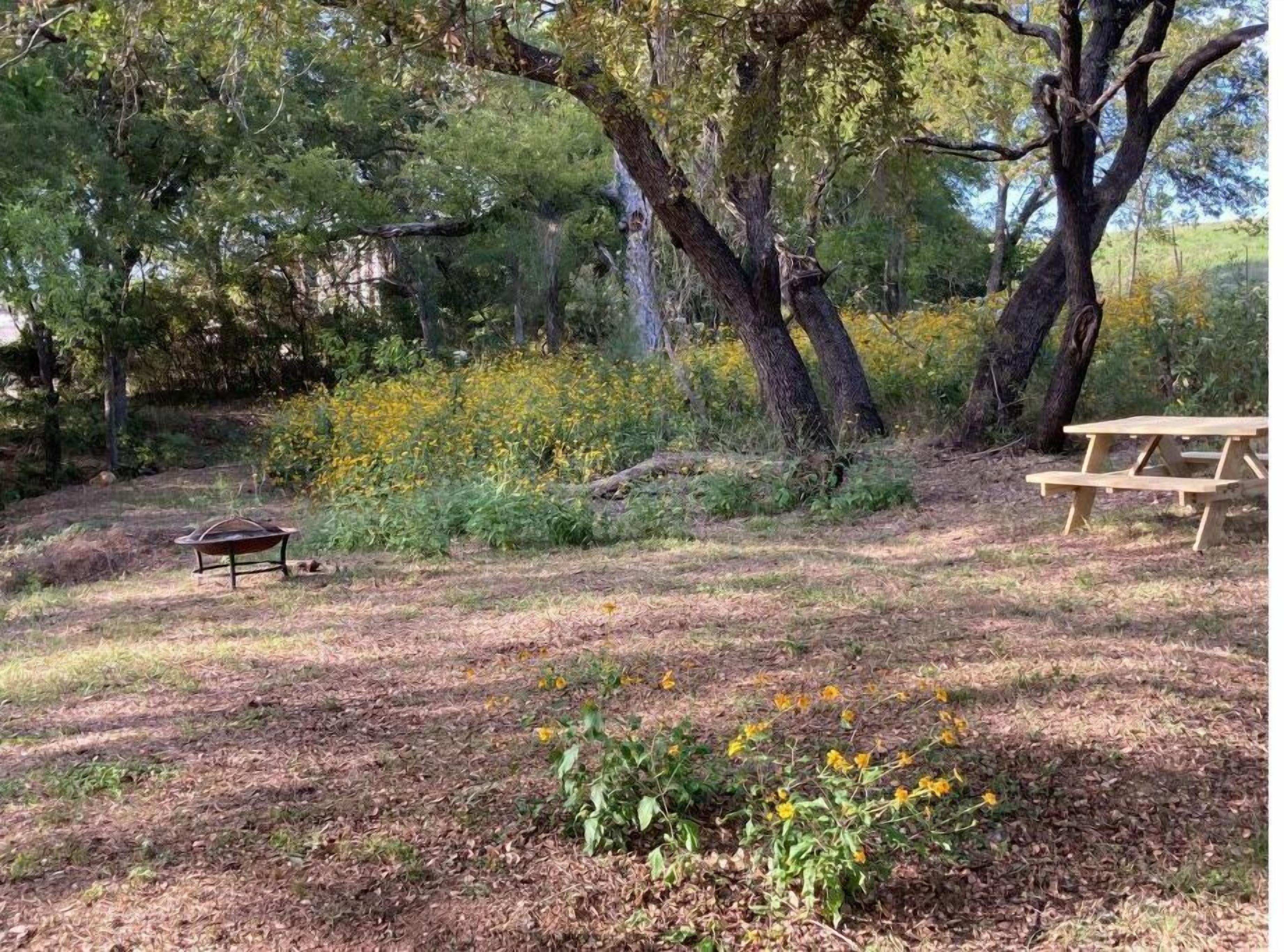 Un espacio para picnic con banco y un carretón, rodeado de árboles y flores silvestres.