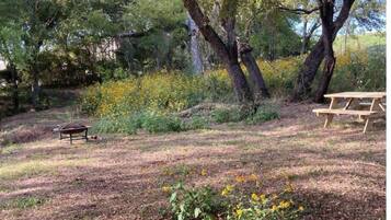 Un espacio para picnic con banco y un carretón, rodeado de árboles y flores silvestres.