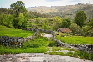 A stone wall leading to a rustic house with a thatched roof, surrounded by lush green fields and trees. - Regouro - an Hidden Gem in Douro Valley (Cinfães)