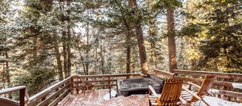 RAVEN WOOD, 400 FT TO SKI RUNS, HOT TUB, SAUNA, PRIVATE