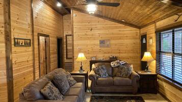 Smart TV, fireplace, DVD player, books