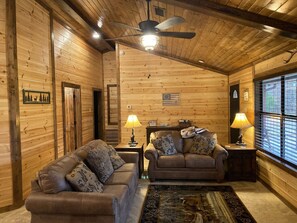 Smart TV, fireplace, DVD player, books