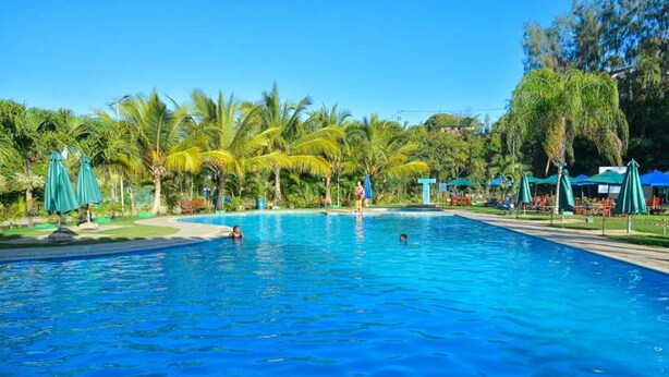 A large outdoor swimming pool surrounded by palm trees and green umbrellas.