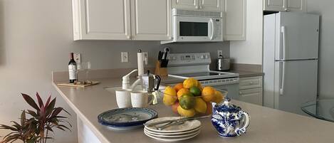 Full-sized fridge, microwave, oven, stovetop