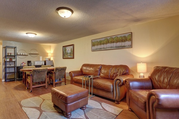 coxy leather couch and chair