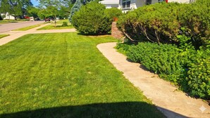 A well-maintained lawn, a sidewalk, and a hedge.