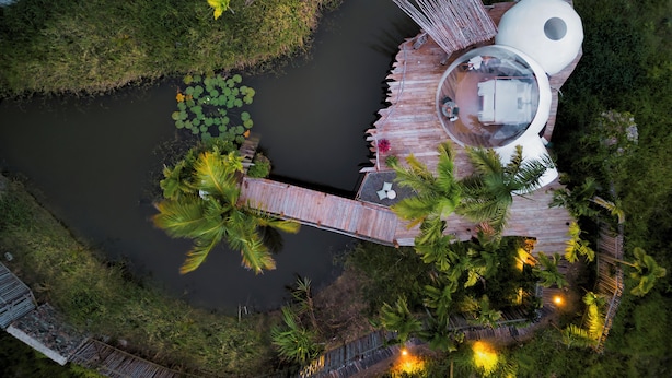 Vue aérienne d’un bâtiment moderne de forme circulaire, surmonté d’un dôme de verre, entouré d’une terrasse en bois et d’une végétation luxuriante.