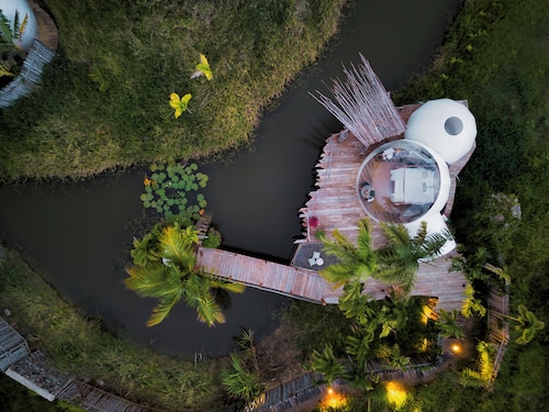 Green Land Bubble Glamping