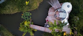 Green Land Bubble Glamping