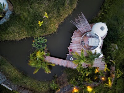 Green Land Bubble Glamping