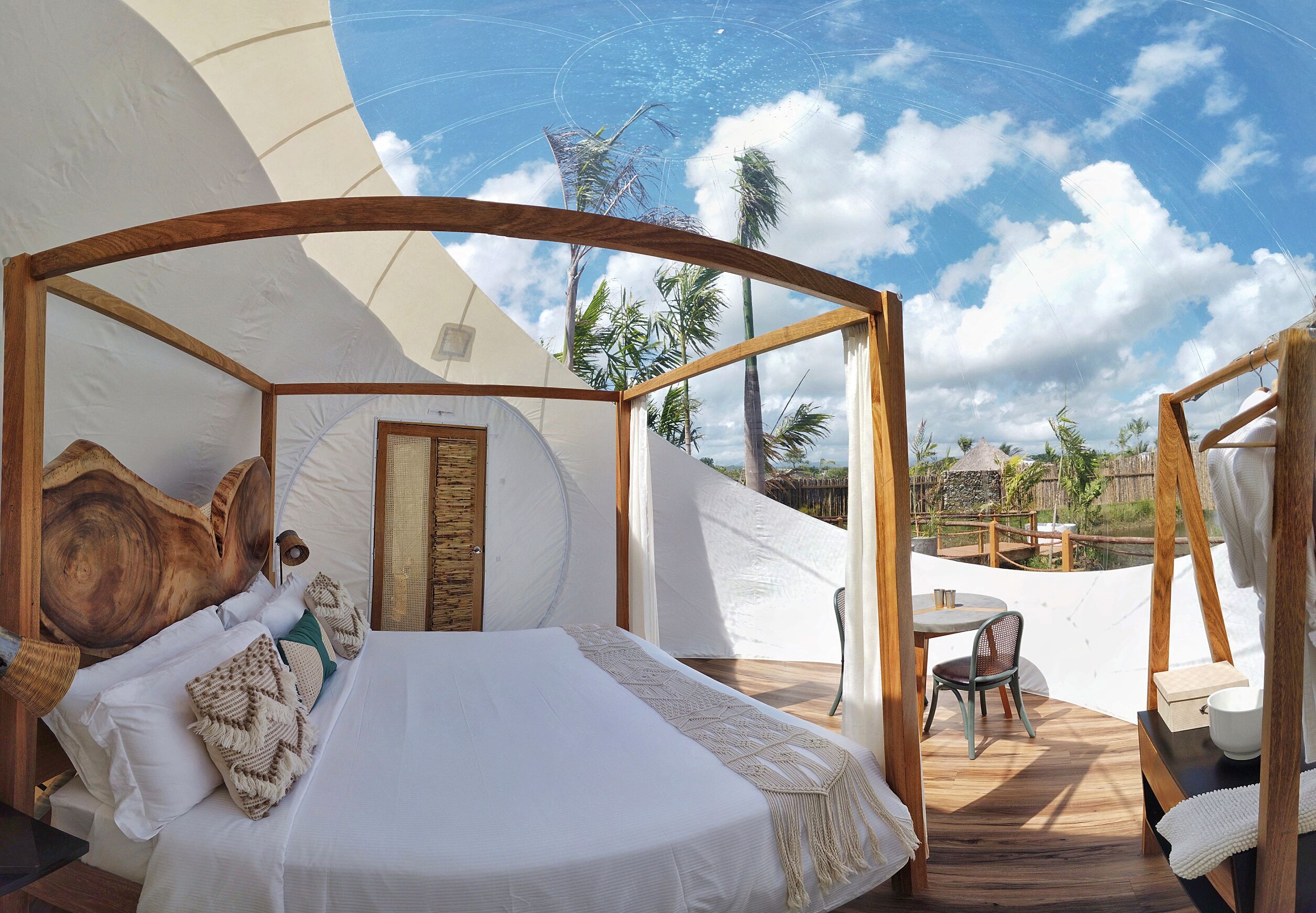 Una habitación amplia y luminosa con una cama grande, cabecera de madera y vistas a palmeras y un cielo despejado.