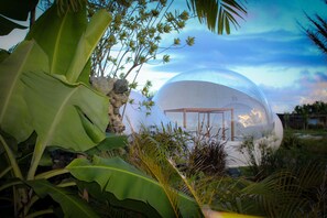 Lều Premium, bồn tắm | Trang trí khác biệt, trang bị nội thất với thiết kế riêng biệt 