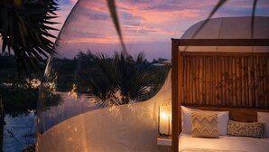A dome-shaped tent with a bed inside, surrounded by palm trees and a sunset view. - Green Land Bubble Glamping (Sosúa)