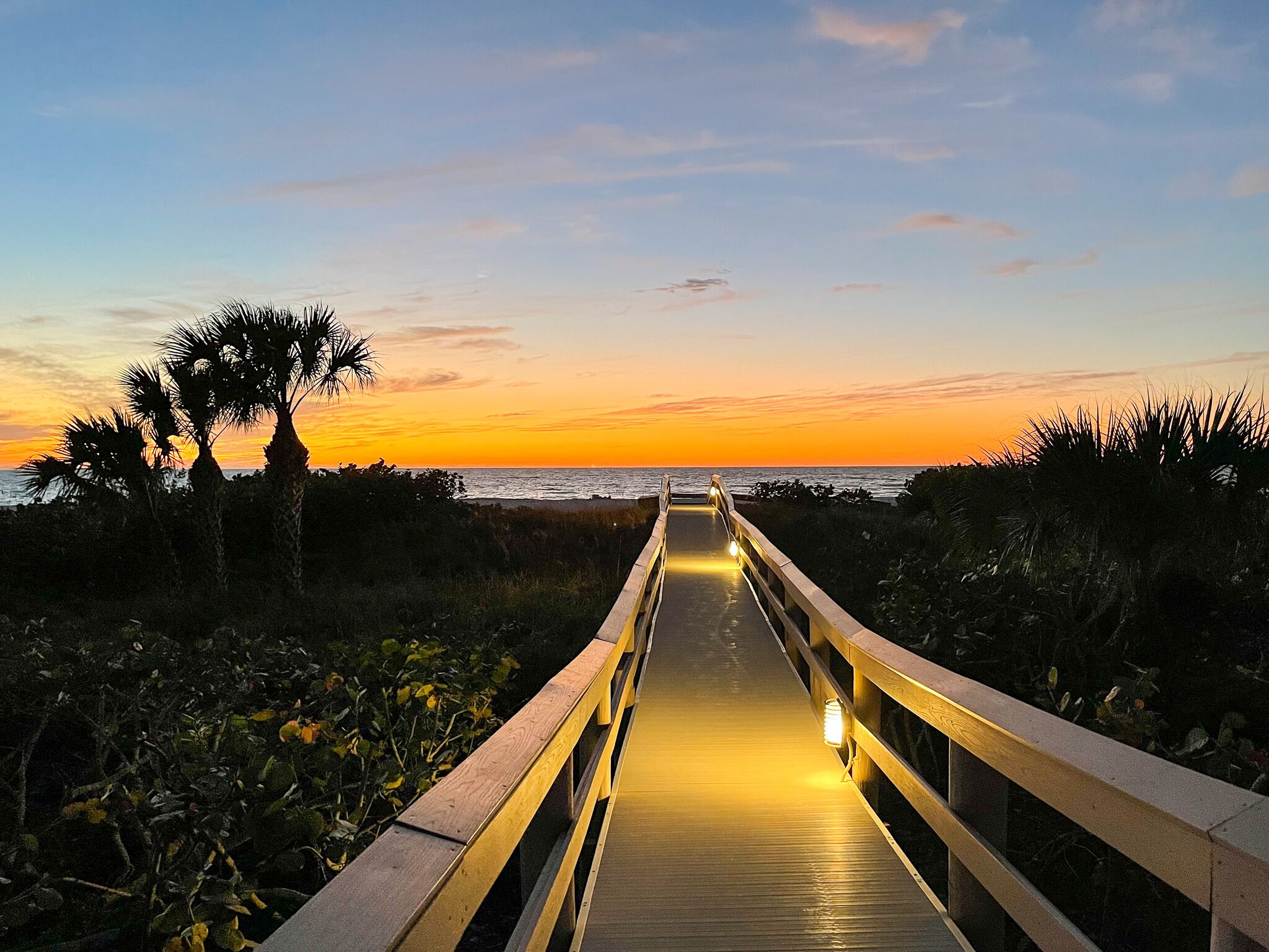 A wooden boardwalk leading to the ocean with palm trees on either side.