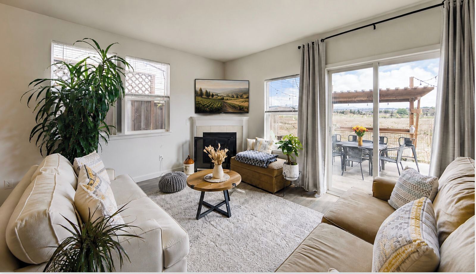 TV, fireplace