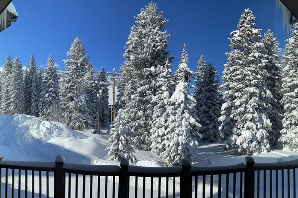 Àrea exterior de l'allotjament