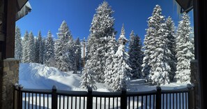 Property grounds - Luxury ski-in townhome in Solitude Resort (Salt Lake City)