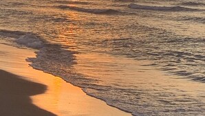 A beach with waves at sunset. - Ocean front and 3 beaches across,parks, short walk to historic downtown! (Gloucester)