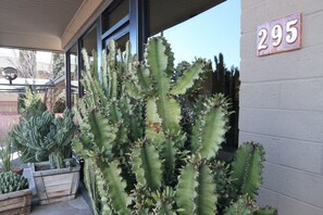 Exterior - The Star Motel (Sedona)