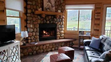 TV connectée, cheminée, lecteur de DVD, vidéothèque