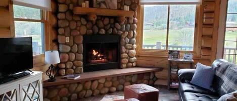 Smart TV, fireplace, DVD player, video library