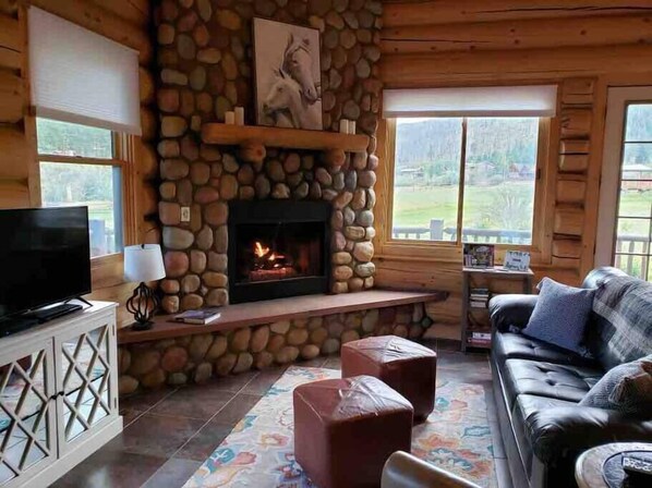 Smart TV, chimenea, reproductor de DVD y videoteca 