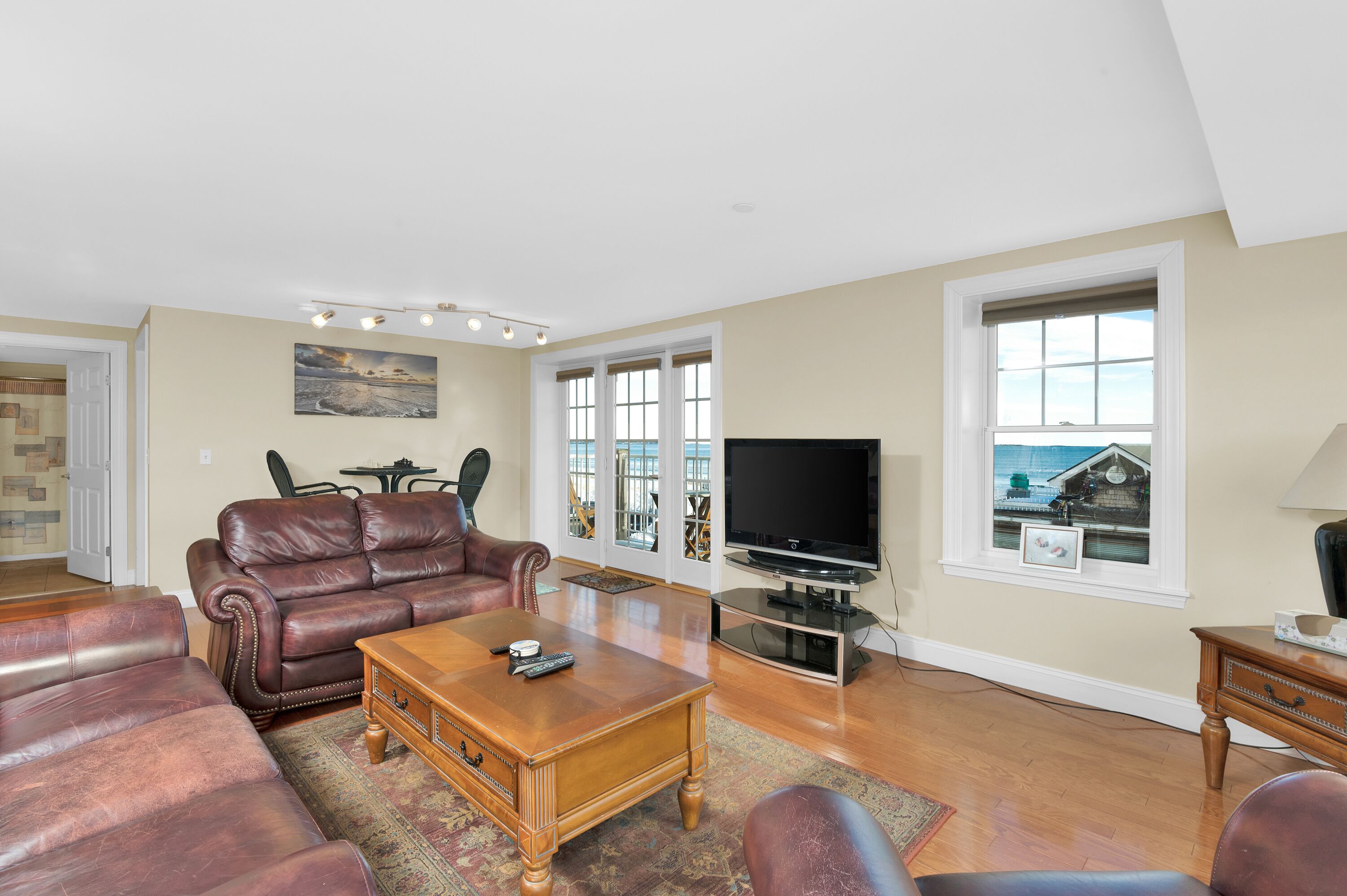 Smart TV, DVD player, books, video library