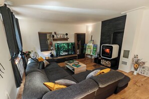 Smart TV, fireplace, DVD player, books
