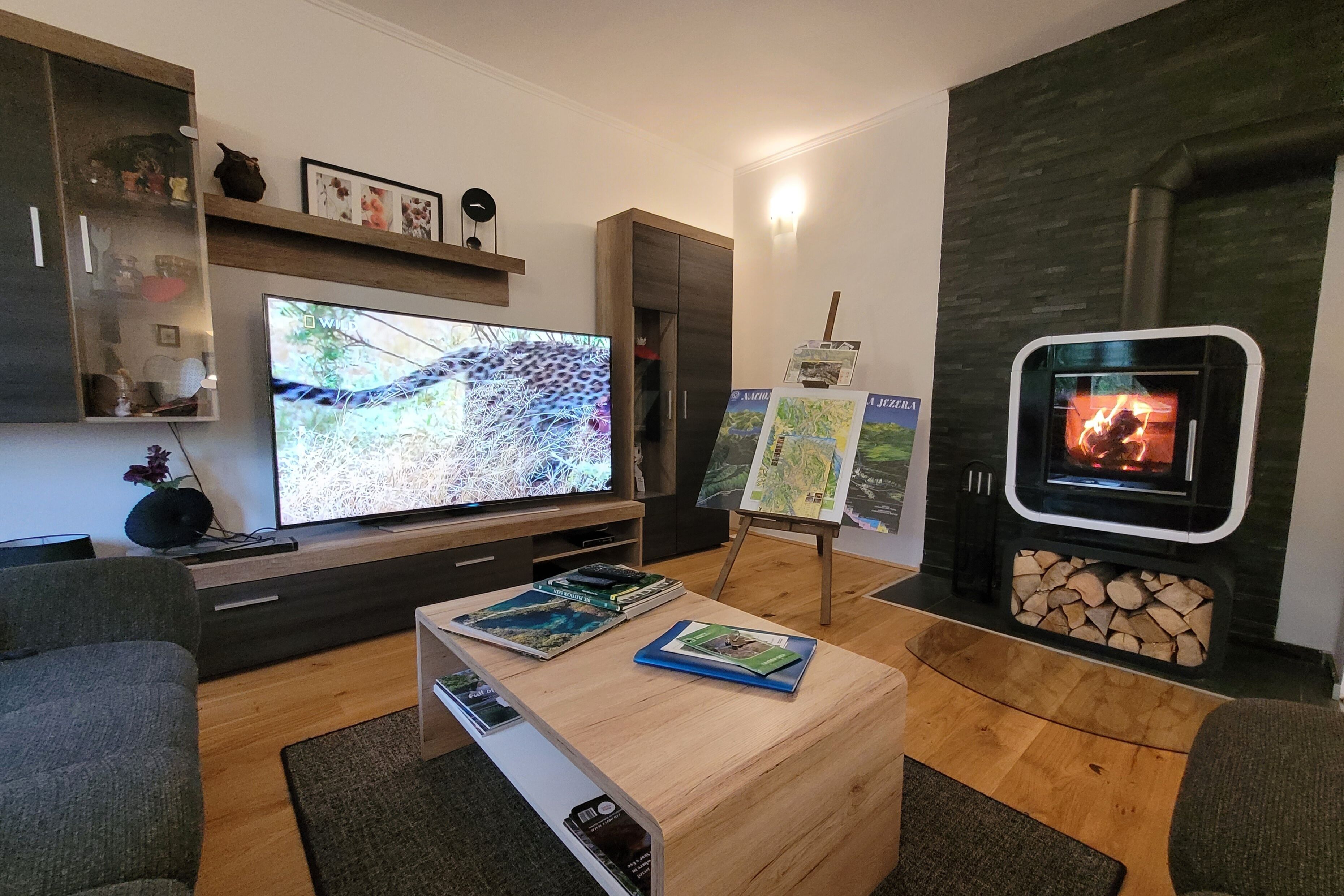 TV connectée, cheminée, lecteur de DVD, livres