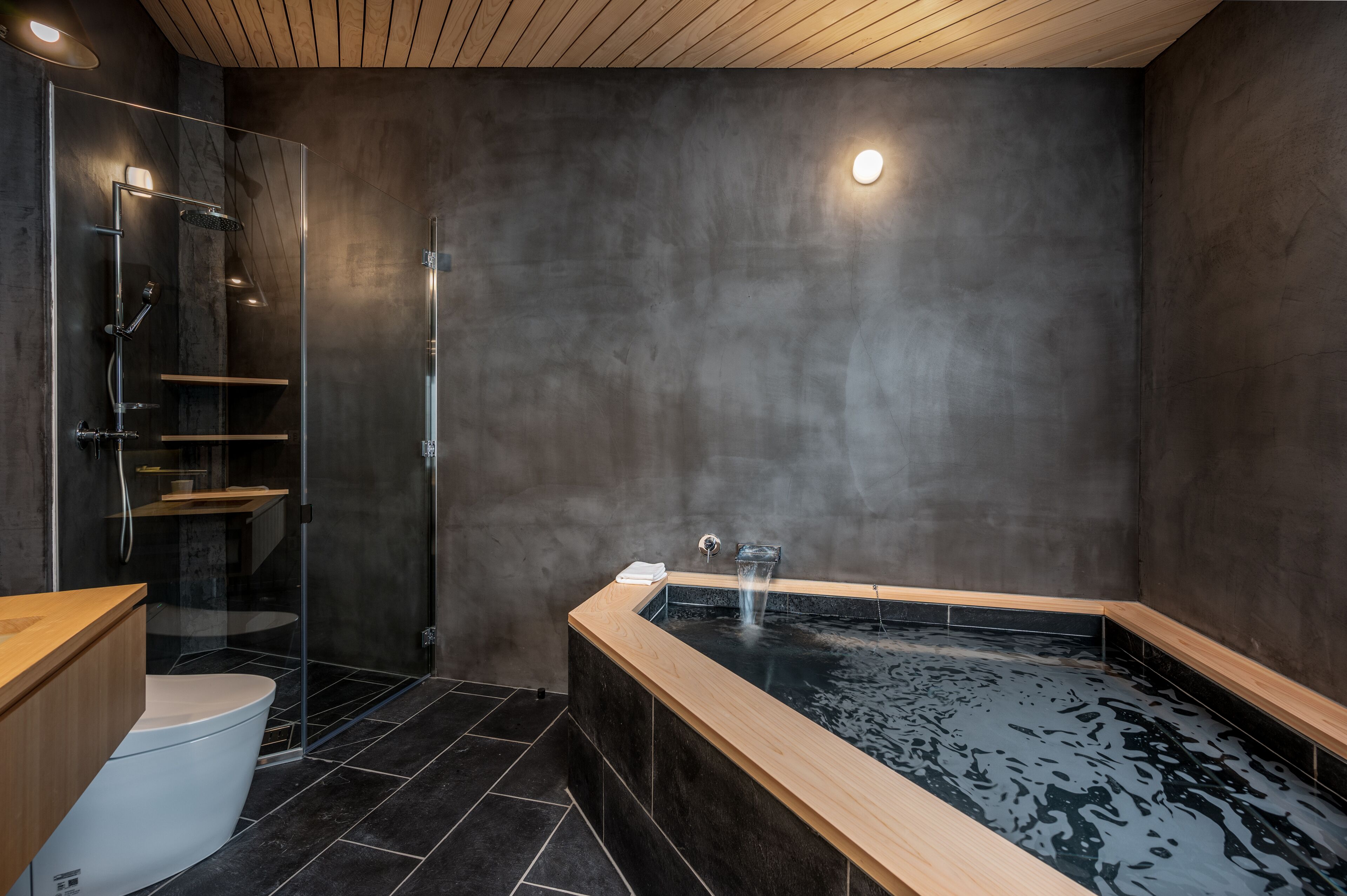 Luxury Villa | Bathroom | Separate bathtub and shower, free toiletries, hair dryer, slippers