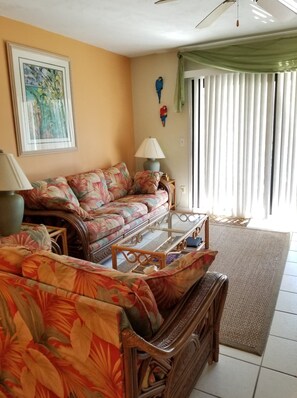 TV connectée, cheminée, lecteur de DVD, livres