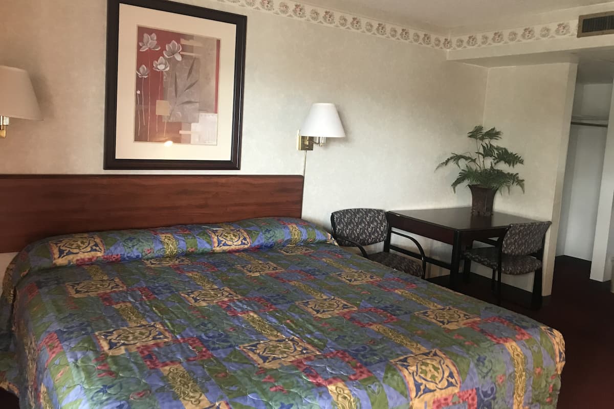 Habitación individual Premium | Wifi gratis 