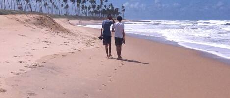 Plage à proximité, chaises longues, serviettes de plage