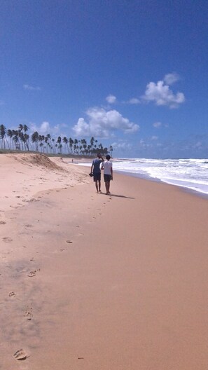 Playa en los alrededores, camastros y toallas de playa 