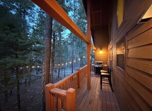 Property grounds - Beautiful Cloudcroft Getaway cabin on National Forest & biking/hiking trails (Cloudcroft)