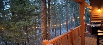 Beautiful Cloudcroft Getaway cabin on National Forest & biking/hiking trails