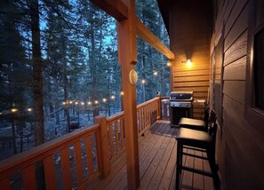Property grounds - Beautiful Cloudcroft Getaway cabin on National Forest & biking/hiking trails (Cloudcroft)