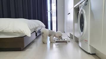 Camera familiare con 2 letti singoli (below 6kg, 1 pet allowed) | Copriletto in piuma, una scrivania, insonorizzazione, Wi-Fi gratuito