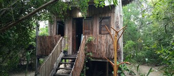 Mida Creek Eco Camp - cottage house