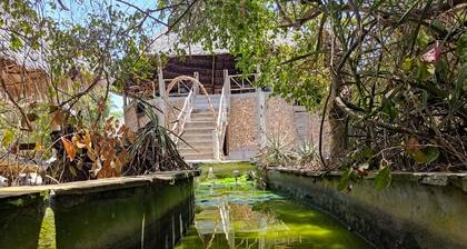 Mida Creek Eco Camp - Eco Lodge