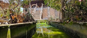 Mida Creek Eco Camp - Eco Lodge