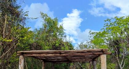 Mida Creek Eco Camp 1