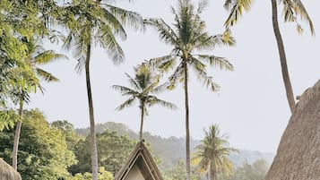 Triangel Bungalow | Garden view