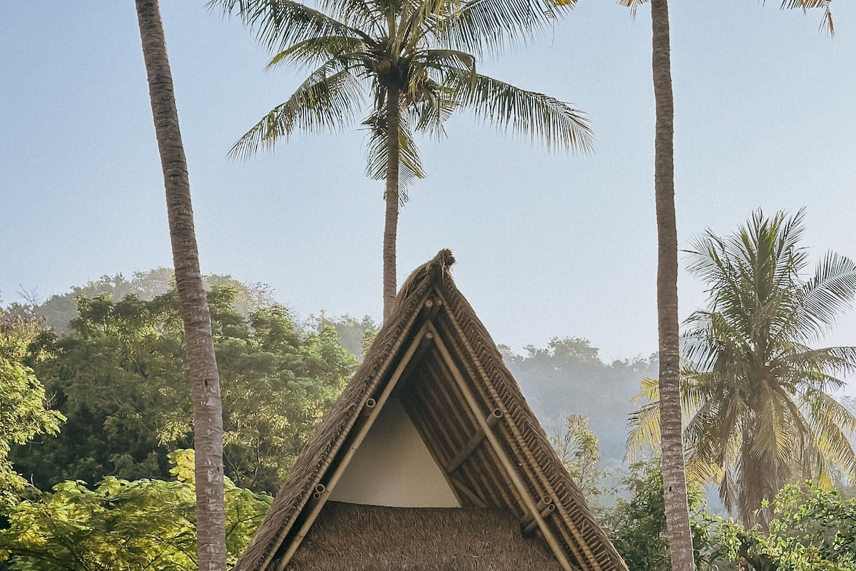 Een huis met rieten dak, omgeven door weelderige begroeiing en palmbomen.