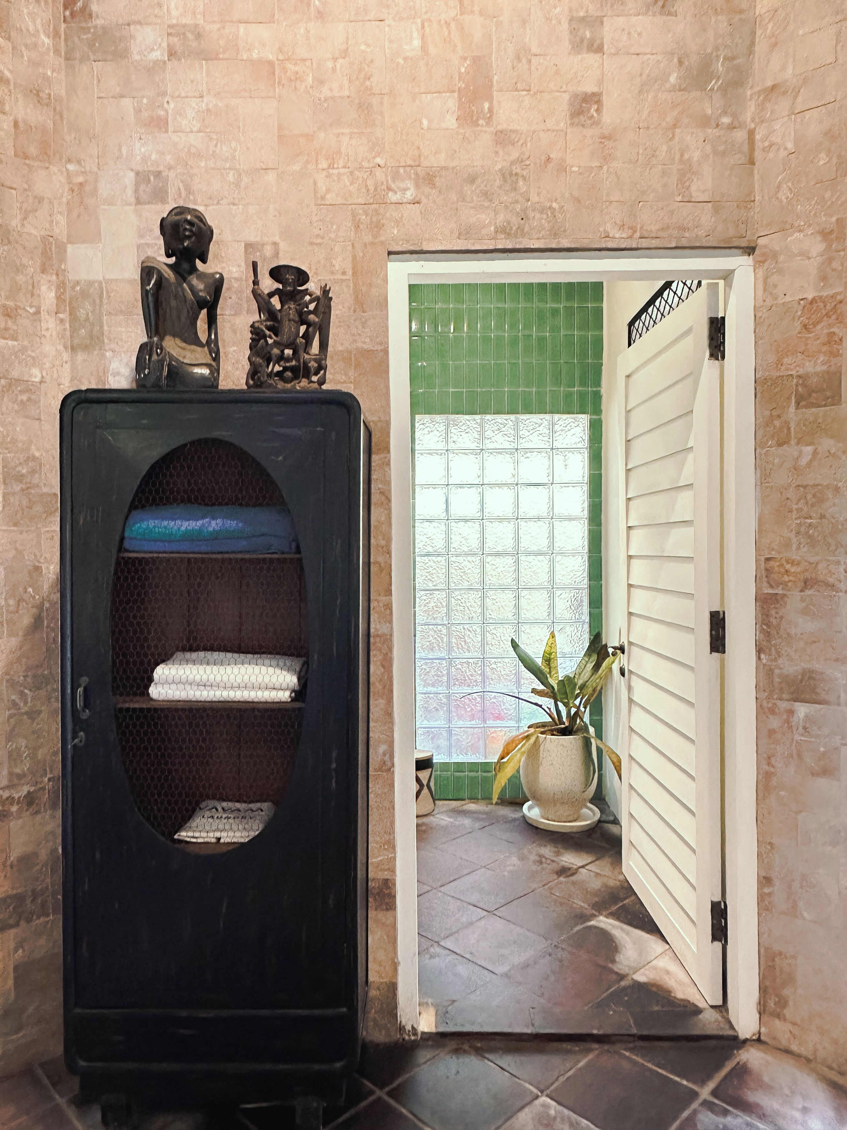 Une pièce avec un meuble noir, un mur recouvert de carreaux verts, une porte blanche et une plante en pot.