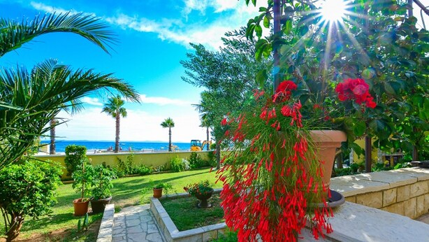 A garden with a variety of plants and a view of the sea. - Seafront Holiday Apartment Inga with sea view (Vir)