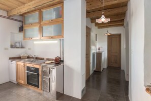 Family Villa, Multiple Bedrooms, Mountainside (Pool & Sauna Villa Gizela) | Private kitchen | Fridge, oven, stovetop, dishwasher - Pool & Sauna Villa Gizela (Brda)